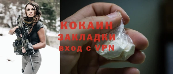бошки Белокуриха