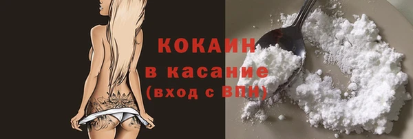 бошки Белокуриха