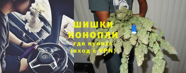 бошки Белокуриха