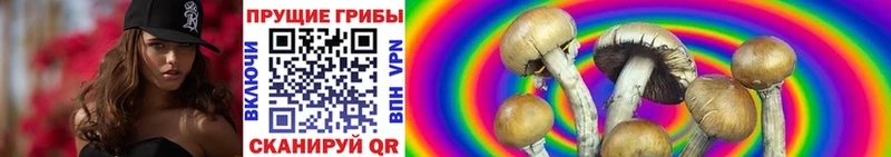 Псилоцибиновые грибы Magic Shrooms  Яровое 